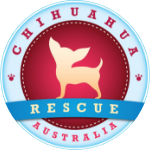 chihuahua-association