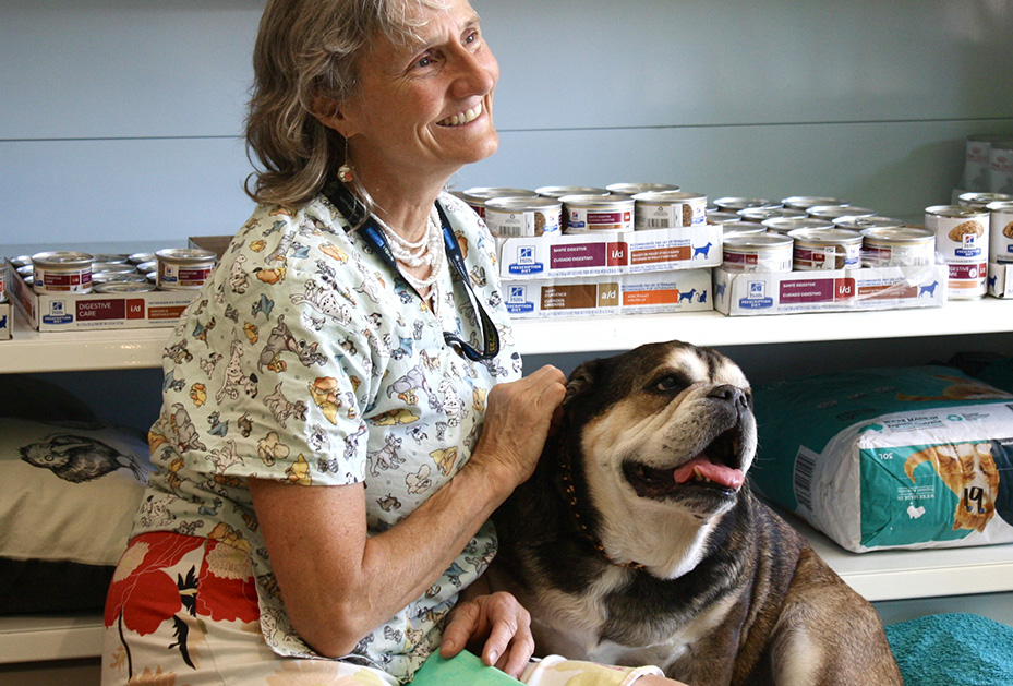 understanding-and-managing-osteoarthritis-in-pets