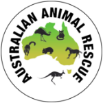 Australian-animal