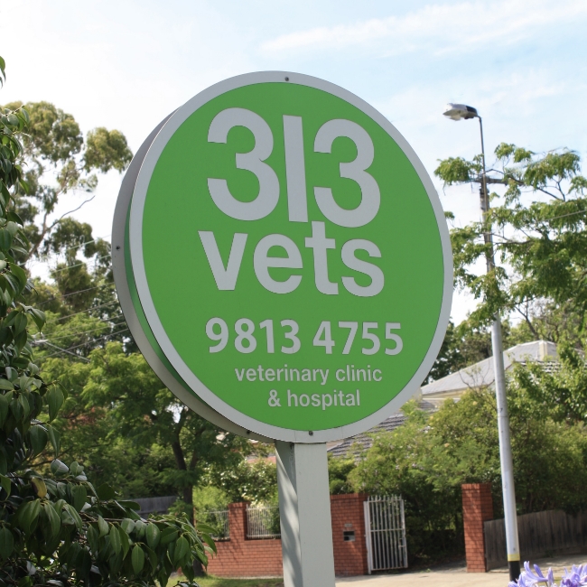 Vet Glen Iris