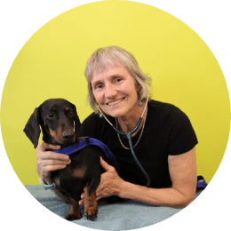 Vaccination-Pet-Health-Care (1)